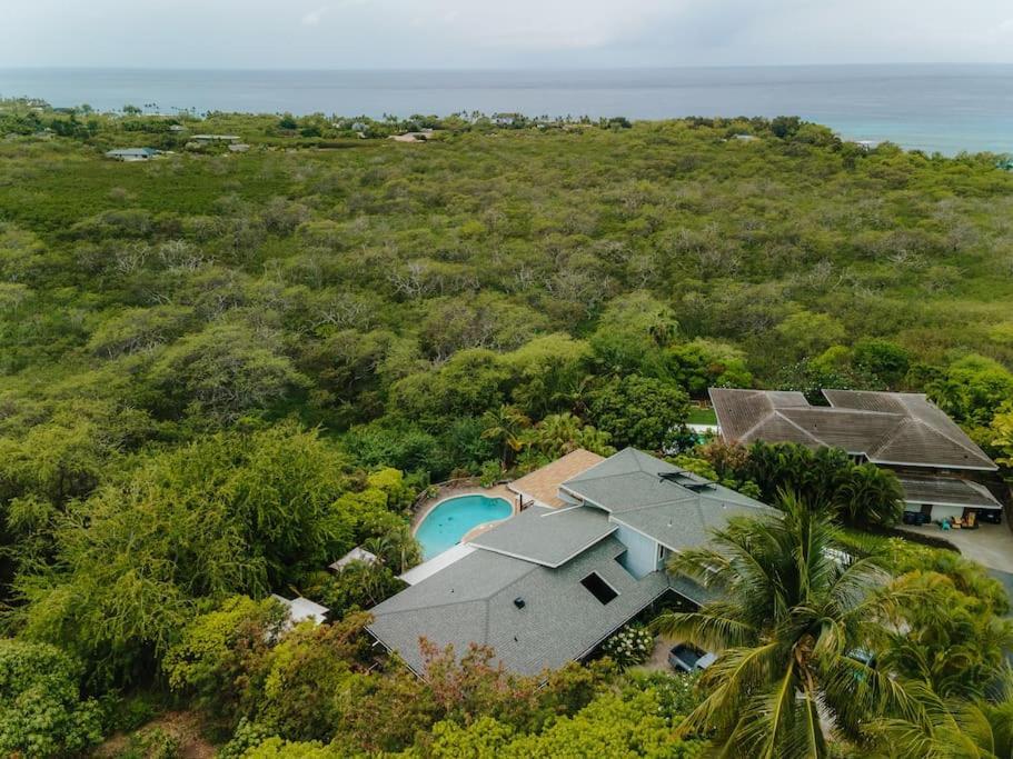 The Pohaku Studio At The Koi House Kailua-Kona Esterno foto